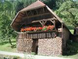 Oberwolfach - Impressionen